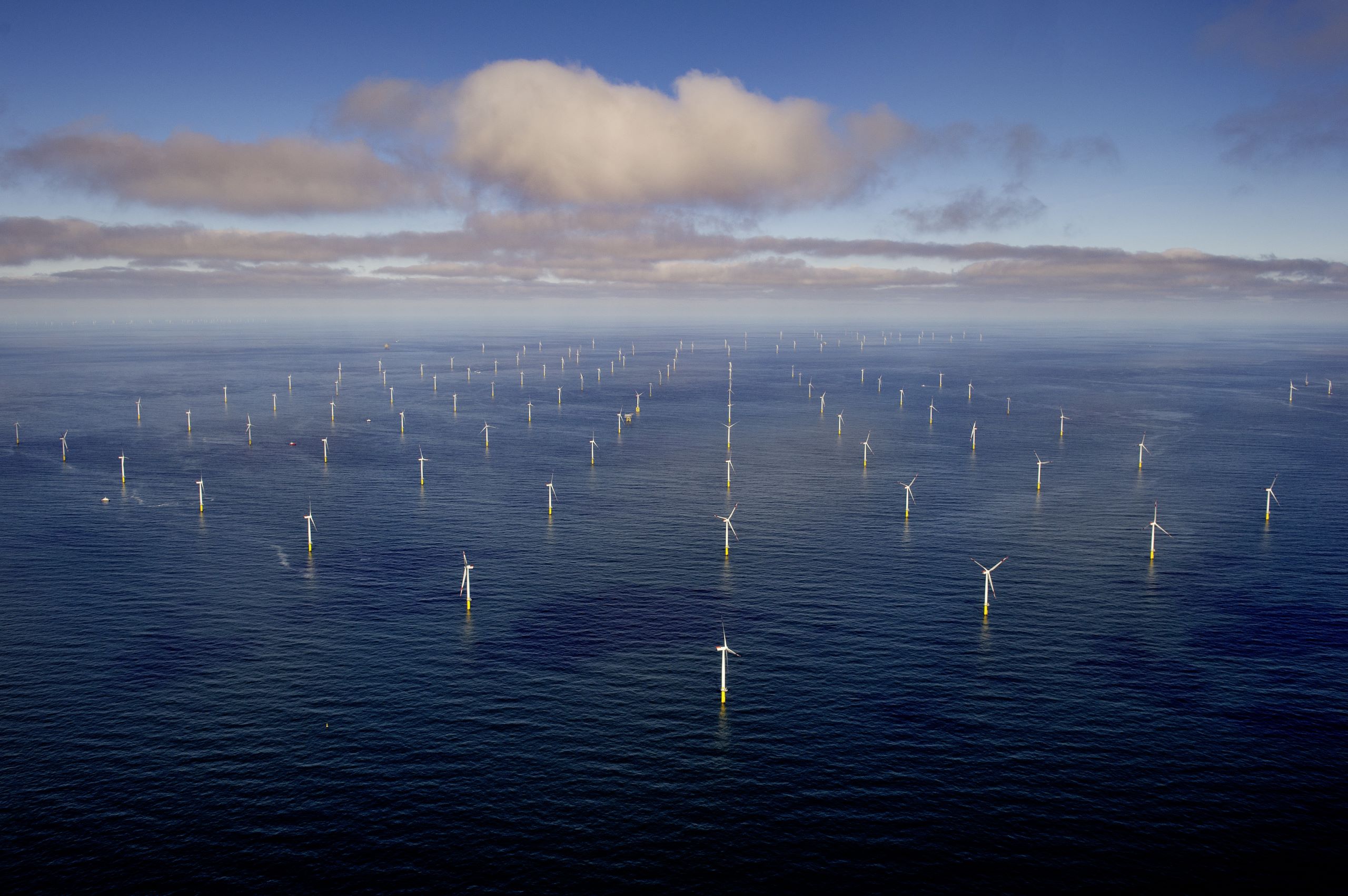 enerxia eolica marina