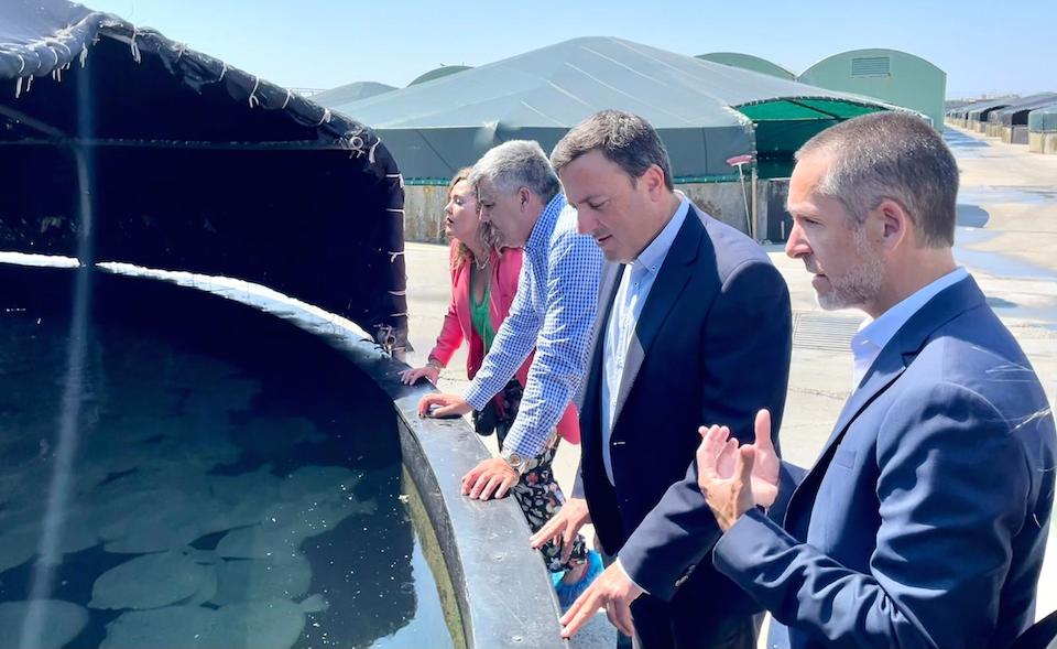 PSOE en Prodemar Lira