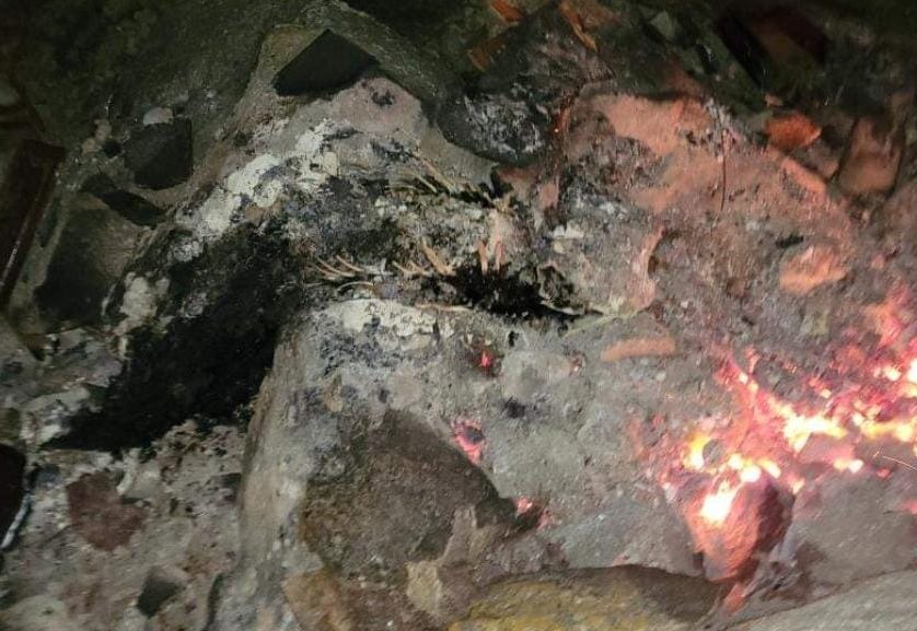 Costelas queimadas do golfino