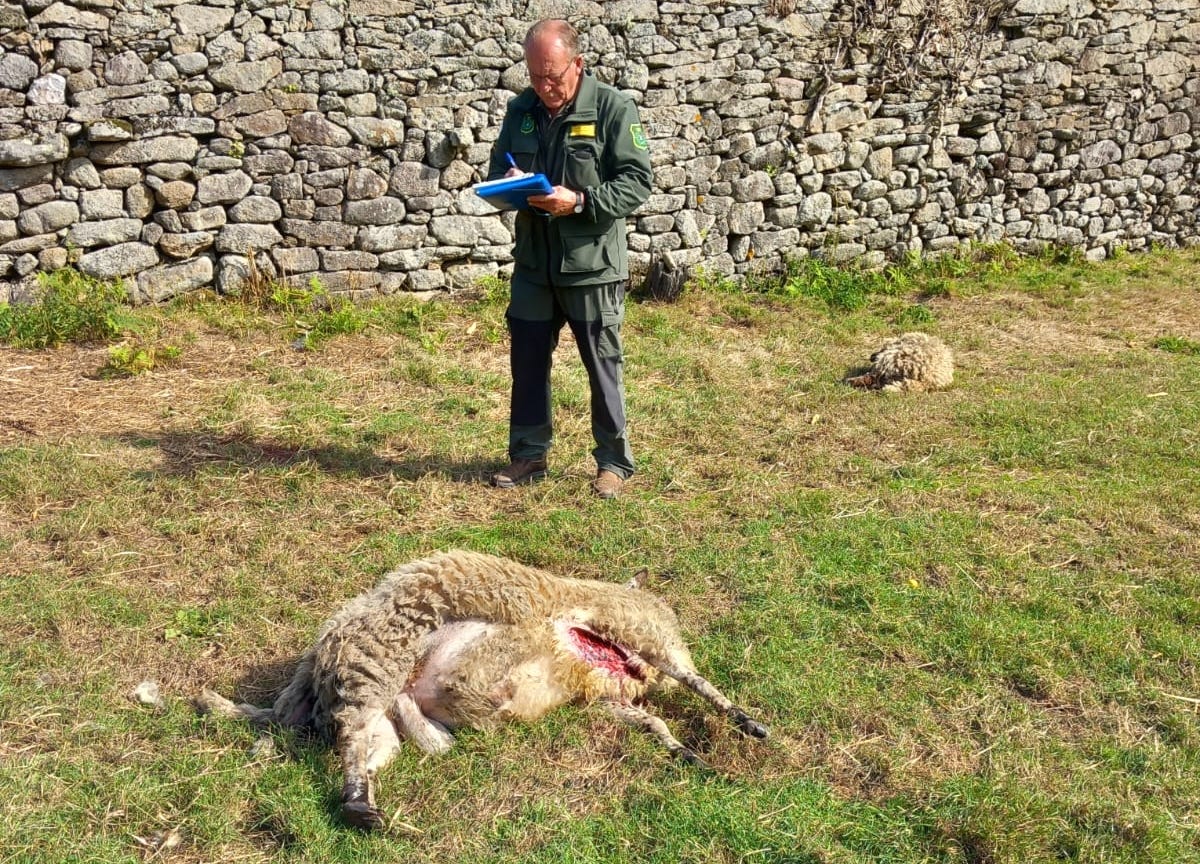 WhatsApp Image 2022-09-26 at 20.54.29(1)