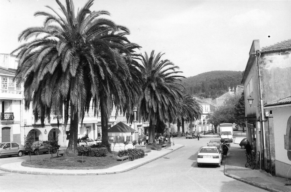 Corcubion_Palmeras-años 90
