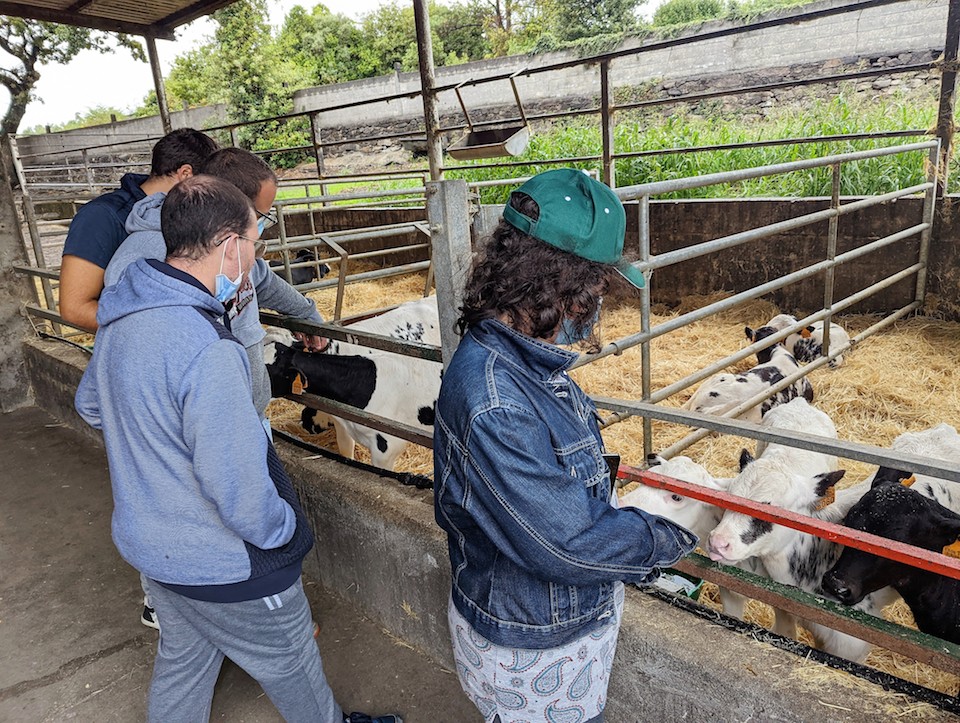 Integro nunha granxa