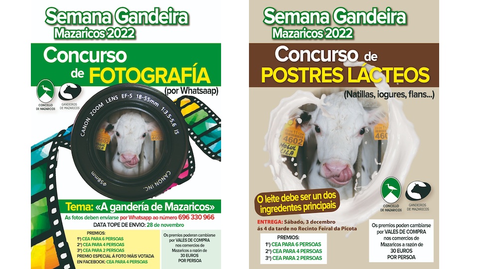 Concursos Semama Gandeira