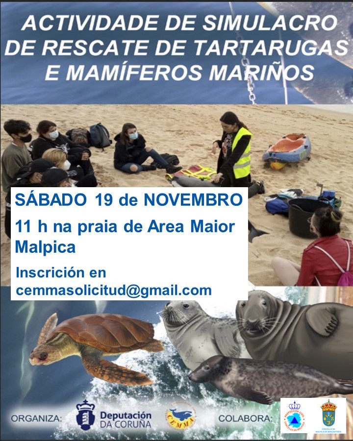 Simulacro Cemma malpica