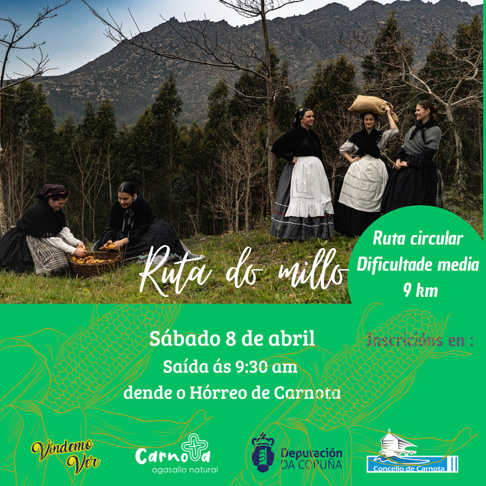 Cartel Ruta do millo Vindemo Ver Carnota