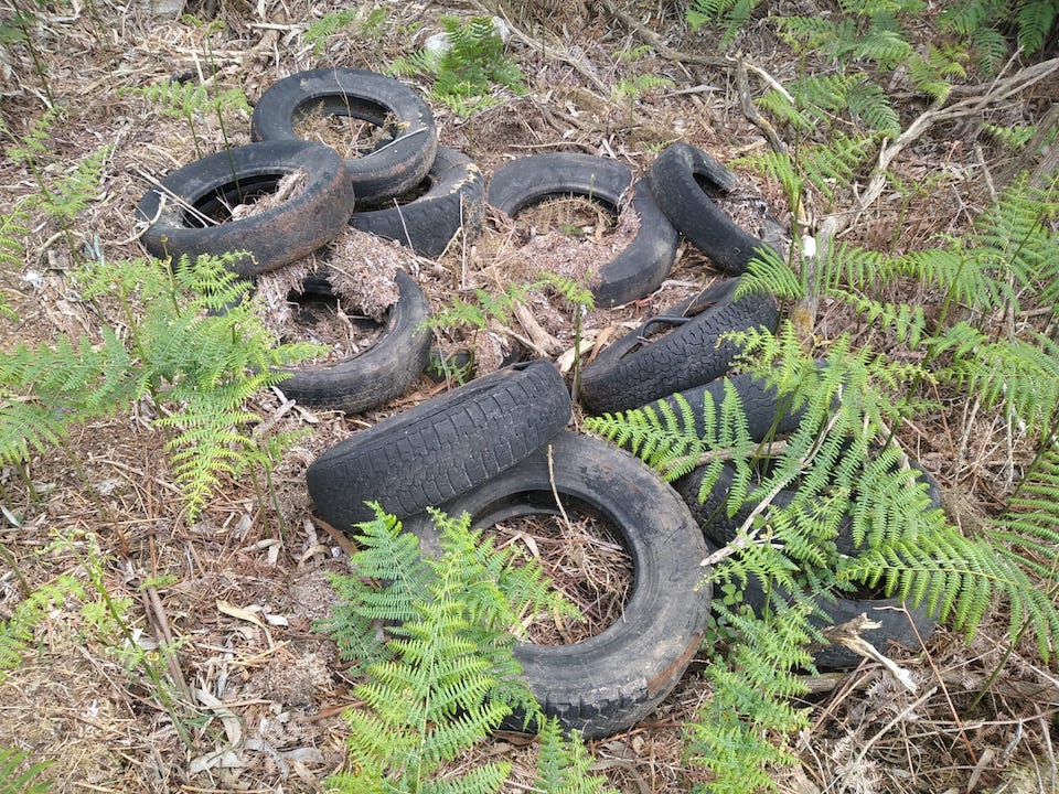 Vertedoiro ilegal en Ninons