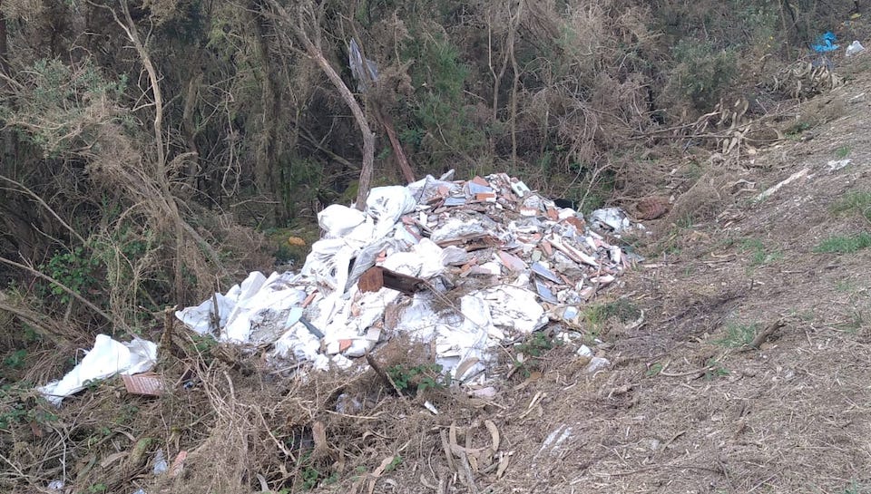 Vertedoiro ilegal en Ninons 2