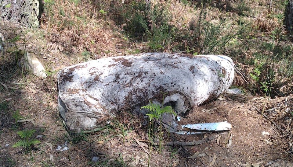 Vertedoiro ilegal en Ninons 4