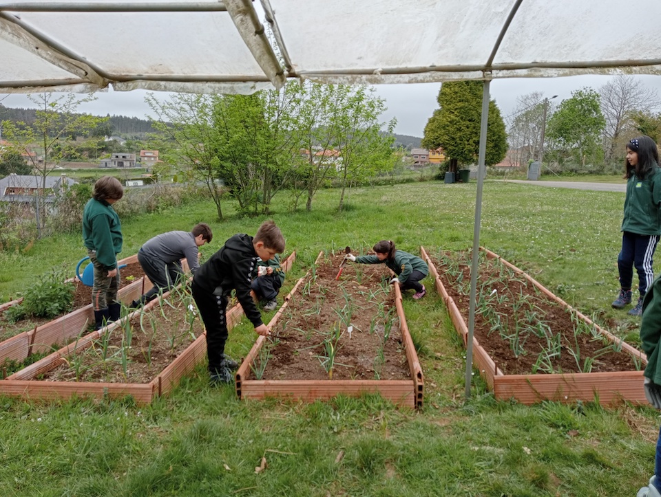 escola ambiental senda nova 2023 2