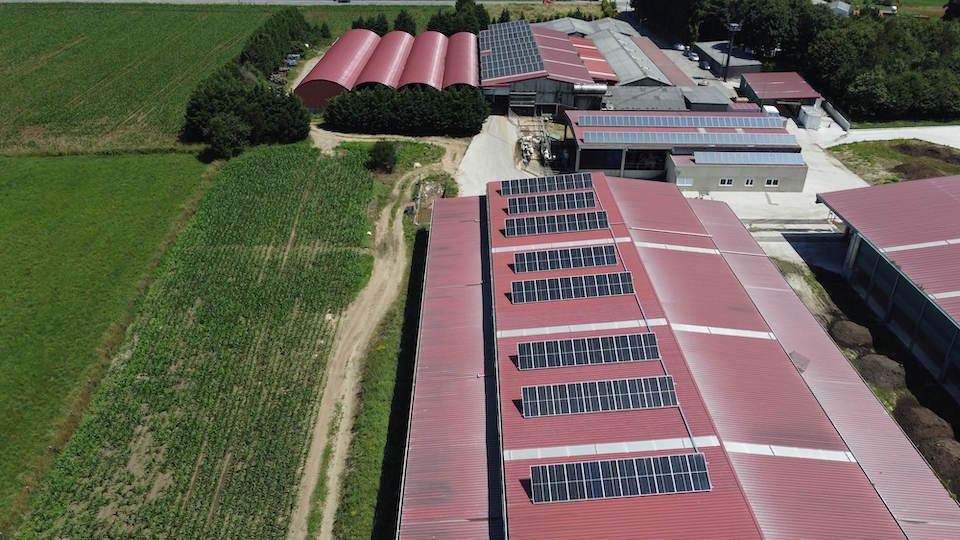 Placas solares na explotacion agraria de GRILLE