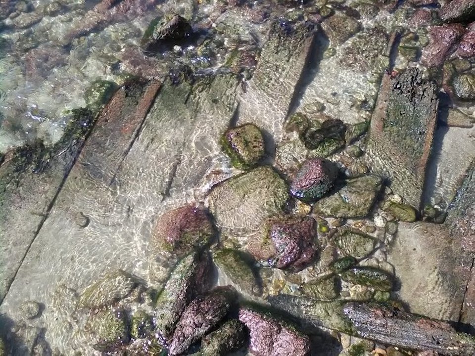 Pecio da Arnela-Corme 2