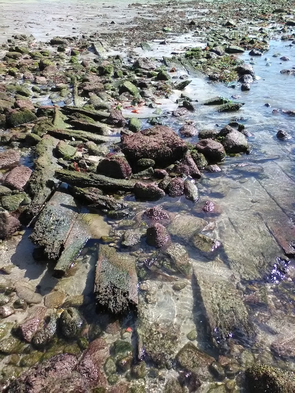 Pecio da Arnela-Corme 3