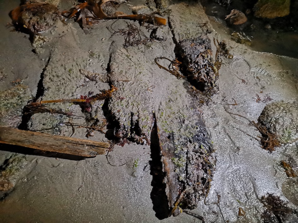 Pecio da Arnela-Corme 4