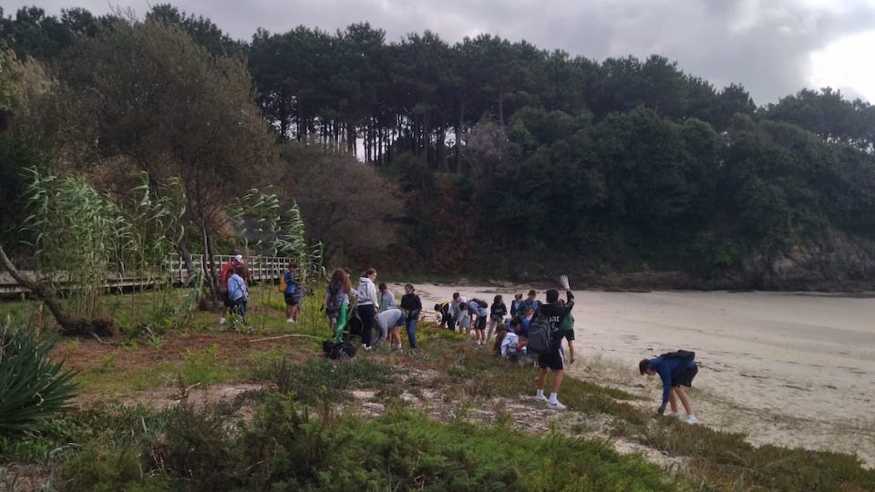Limpeza de invasoras da praia de SArdineiro