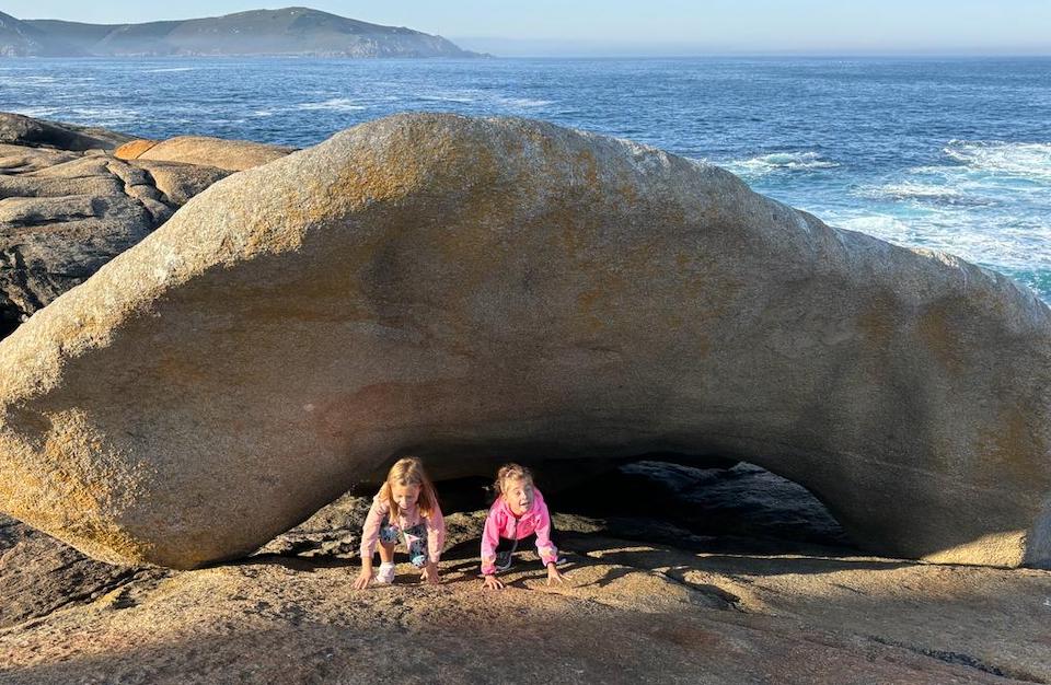 As pequeromeiras do CEIP Vilarmide