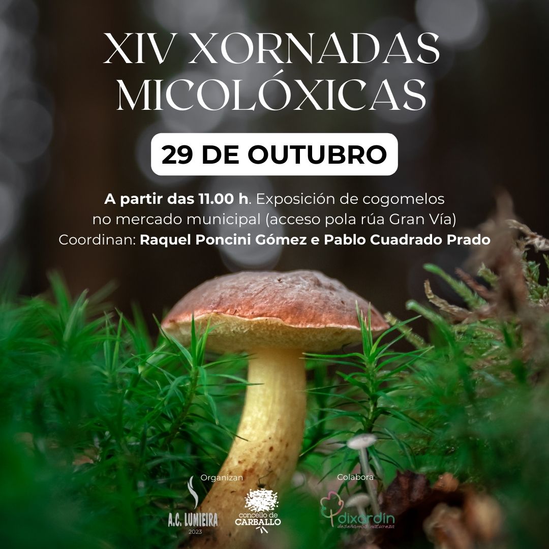 outubro micolóxico