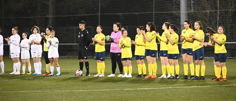 Mazaricos ante o Dubra