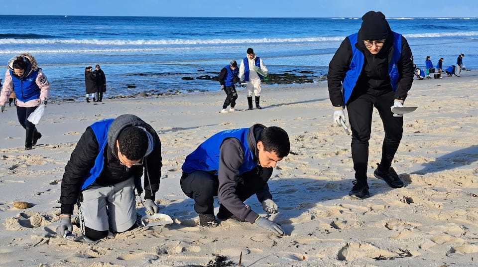 Limpeza Abanca larino Con regogedor en las rocas 2