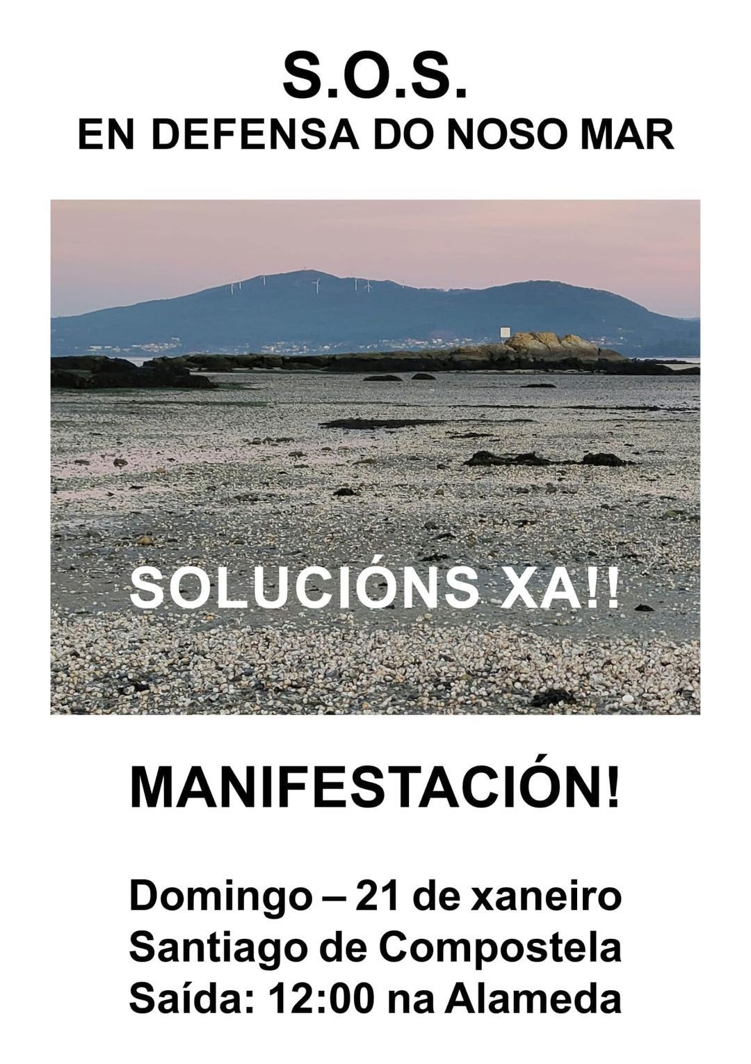 Manifestacion en defensa do Mar