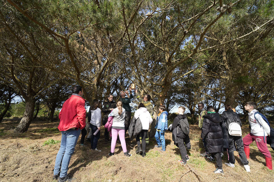 DÍA ÁRBORE LAXE 4 Landras 1