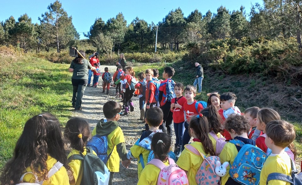 Dia da Arbore en Brens e Pereirina