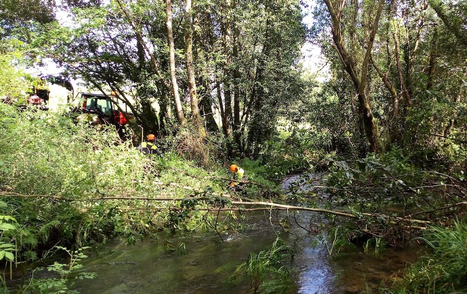 240506 actuacion conservacion rio Grande 2