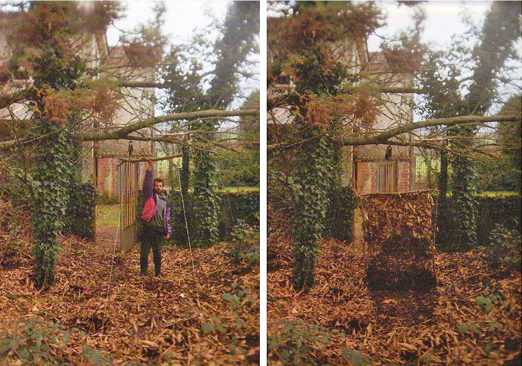 desaparecer-diego-vites