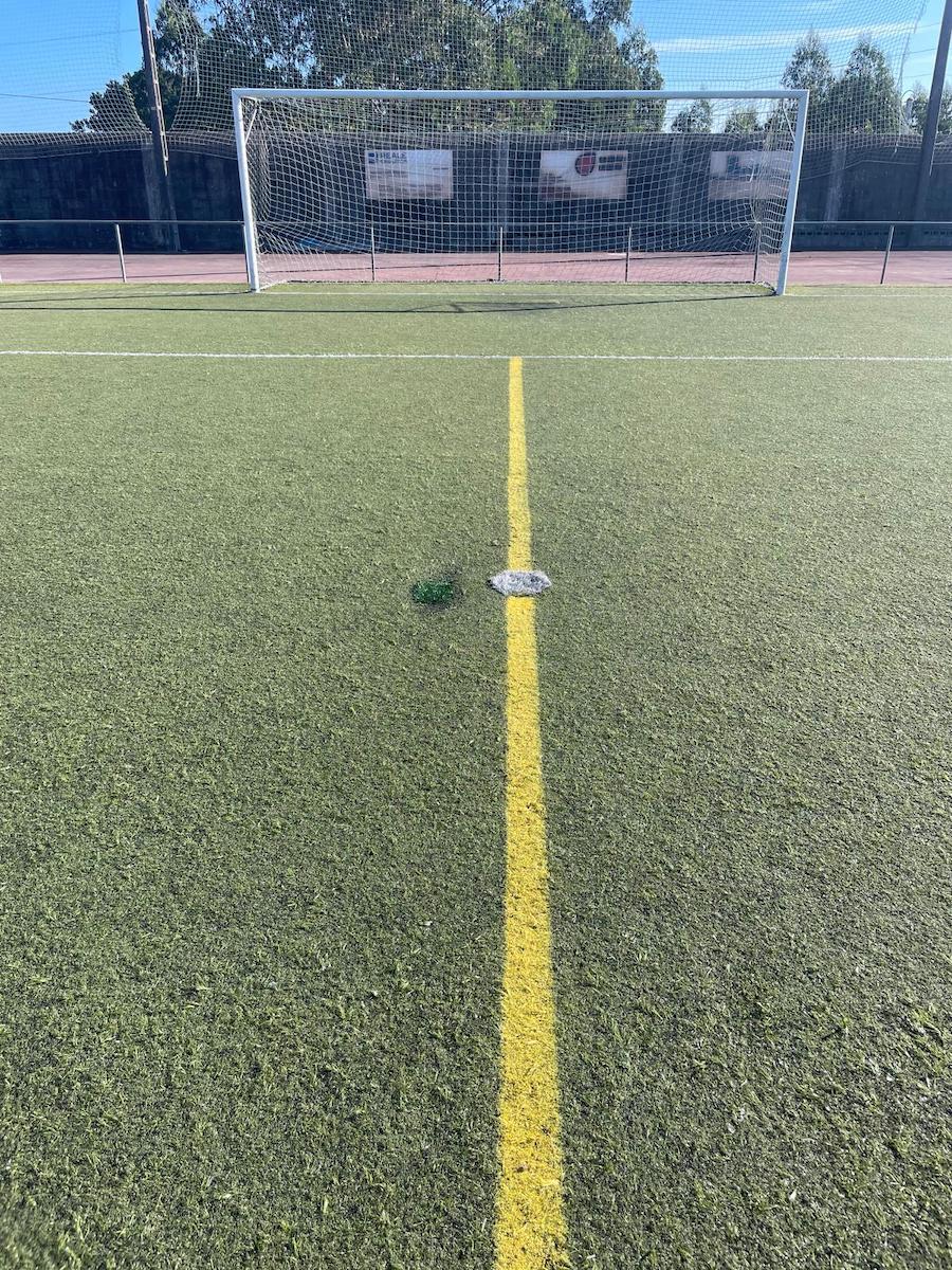 Cespede do campo de Pedra Queimada-Malpica