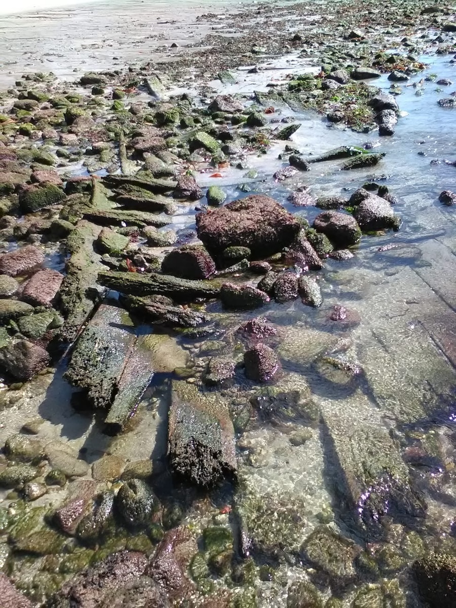 Pecio de Arnela en Corme