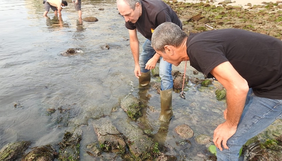  Estudando o pecio da Arnela