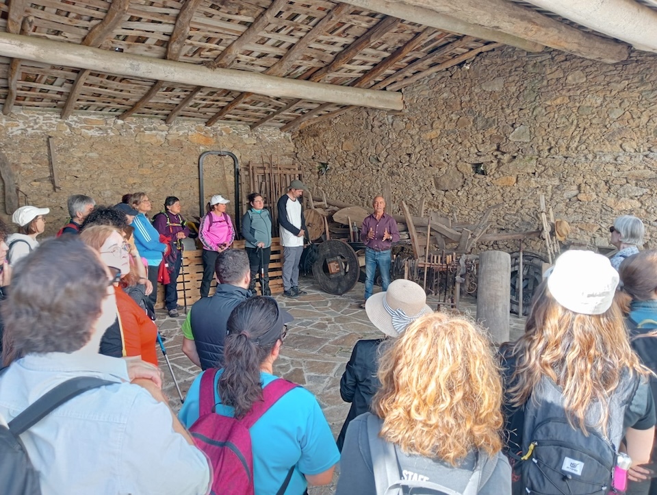 Outono en Marcha de Senda NOva por Montemaior 2