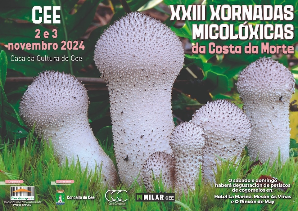 Cartel Xornadas Micoloxicas Costa da Morte en Cee 2024