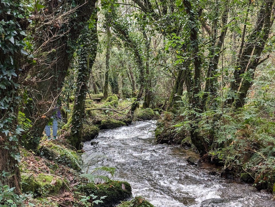 Recunchos da Costa-Ruta do Rio Bradoso-Laracha 4