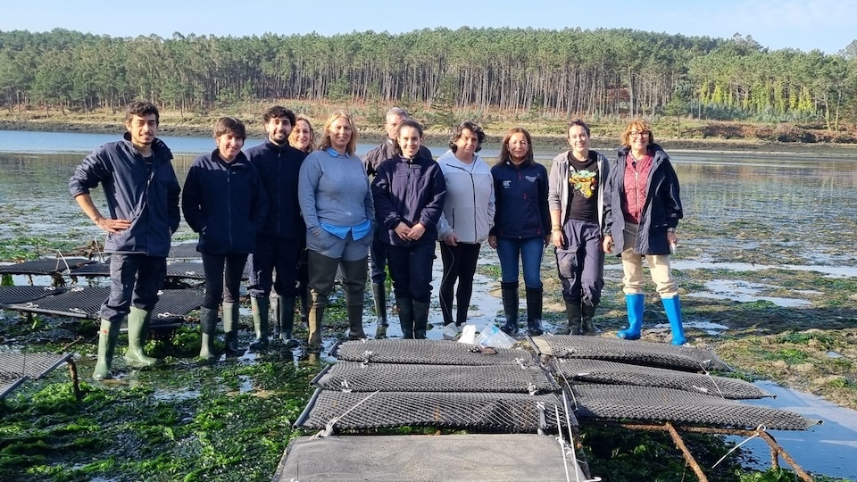 20241118 DXDP semente Camariñas 2