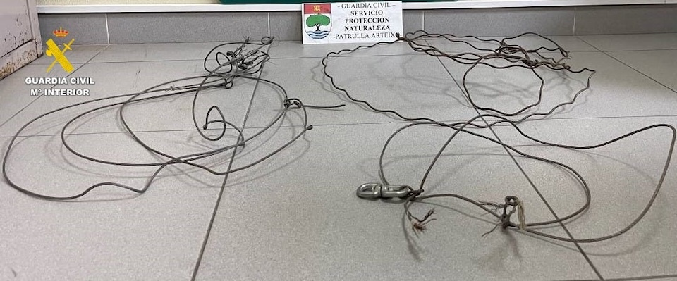 Lazos animais Garda Civil Laracha 2