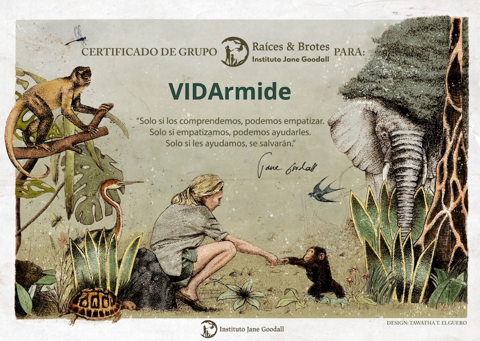 Certificado grupo Raíces y Brotes para VIDArmide copia