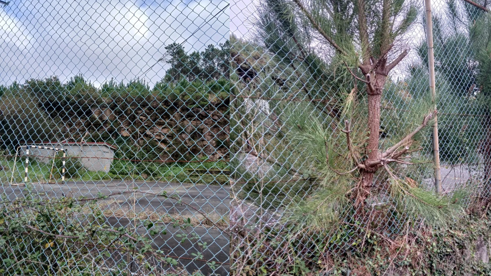 Estado da pista de Lires de total abandono 2