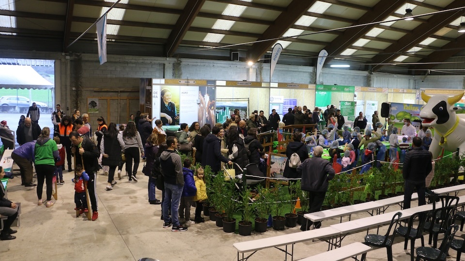 Xogos da Semana Gandeira de Mazaricos 2024 2