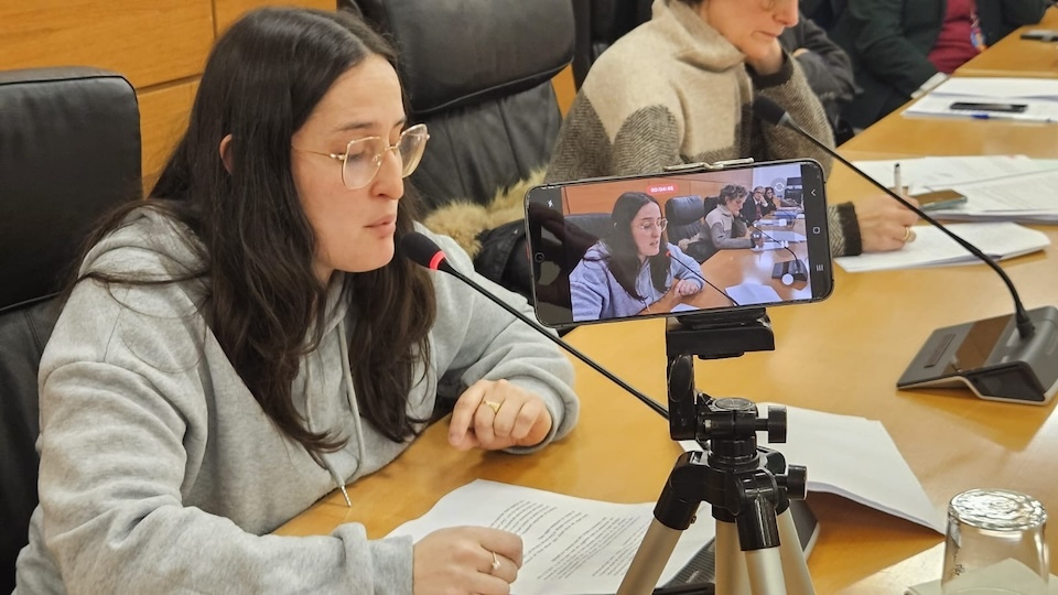 ANPA A Granxa do CEIP Bergantinos no pleno de Carballo