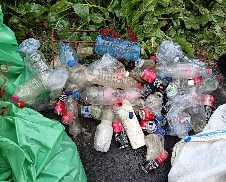 Mulleres da Pergolina e Mar de Fabula limpando o Xardin da Casa de Man de Camelle latas