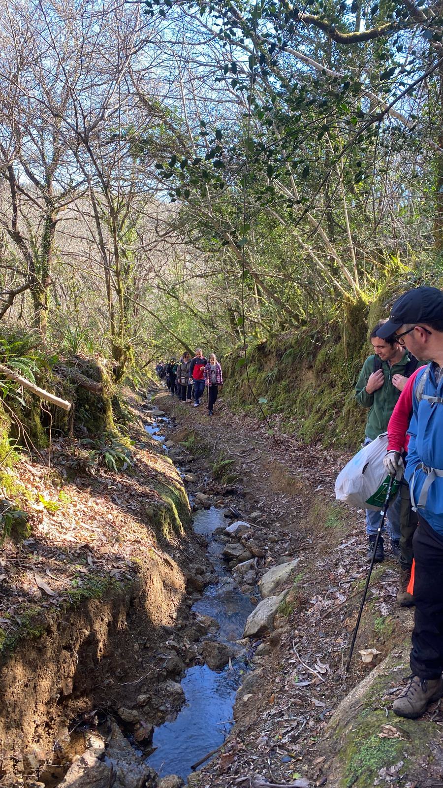 Ruta polo Bosque da Ribeira da Pena con Senda Nov 2