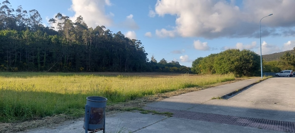 parcela desbrozada no poligono de Cee