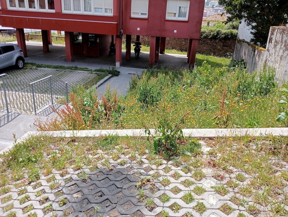 Praza da Ribeira de Corcubion en mal estado.jpeg 3