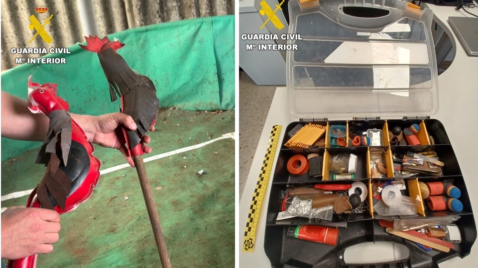 Pelexas ilegais de galos en Coristanco 2