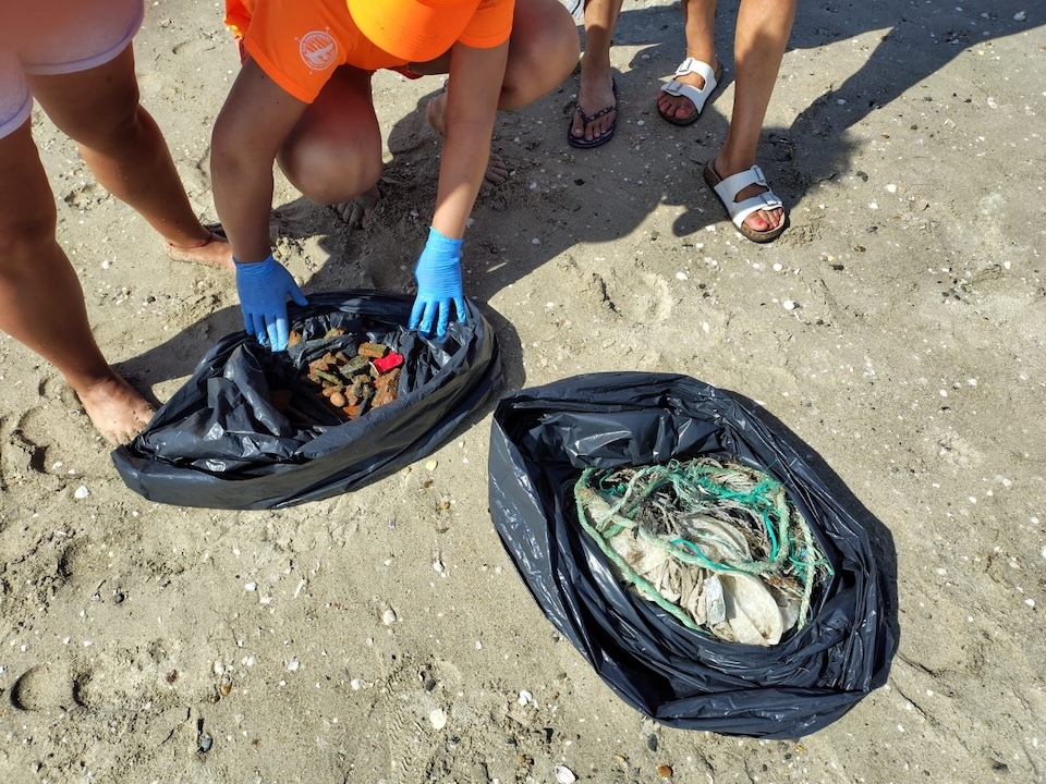Limpeza dos Cormorans 3