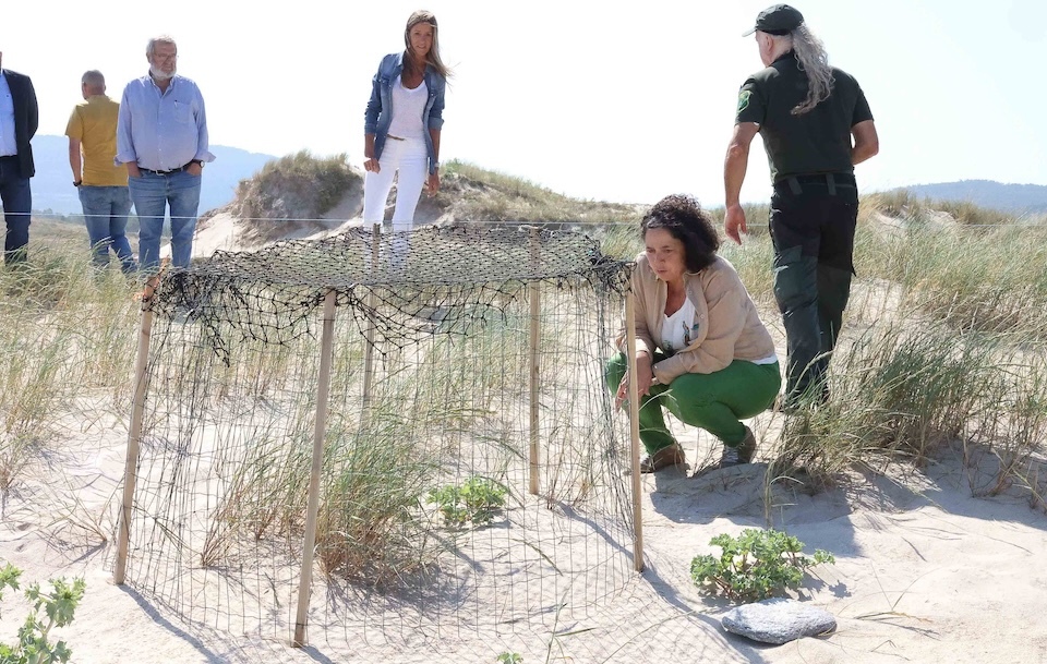 elemento de proteccion nino pillaras das dunas en Baldaio