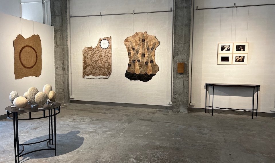 Galeria Manolo Eirin Carballo expo 3