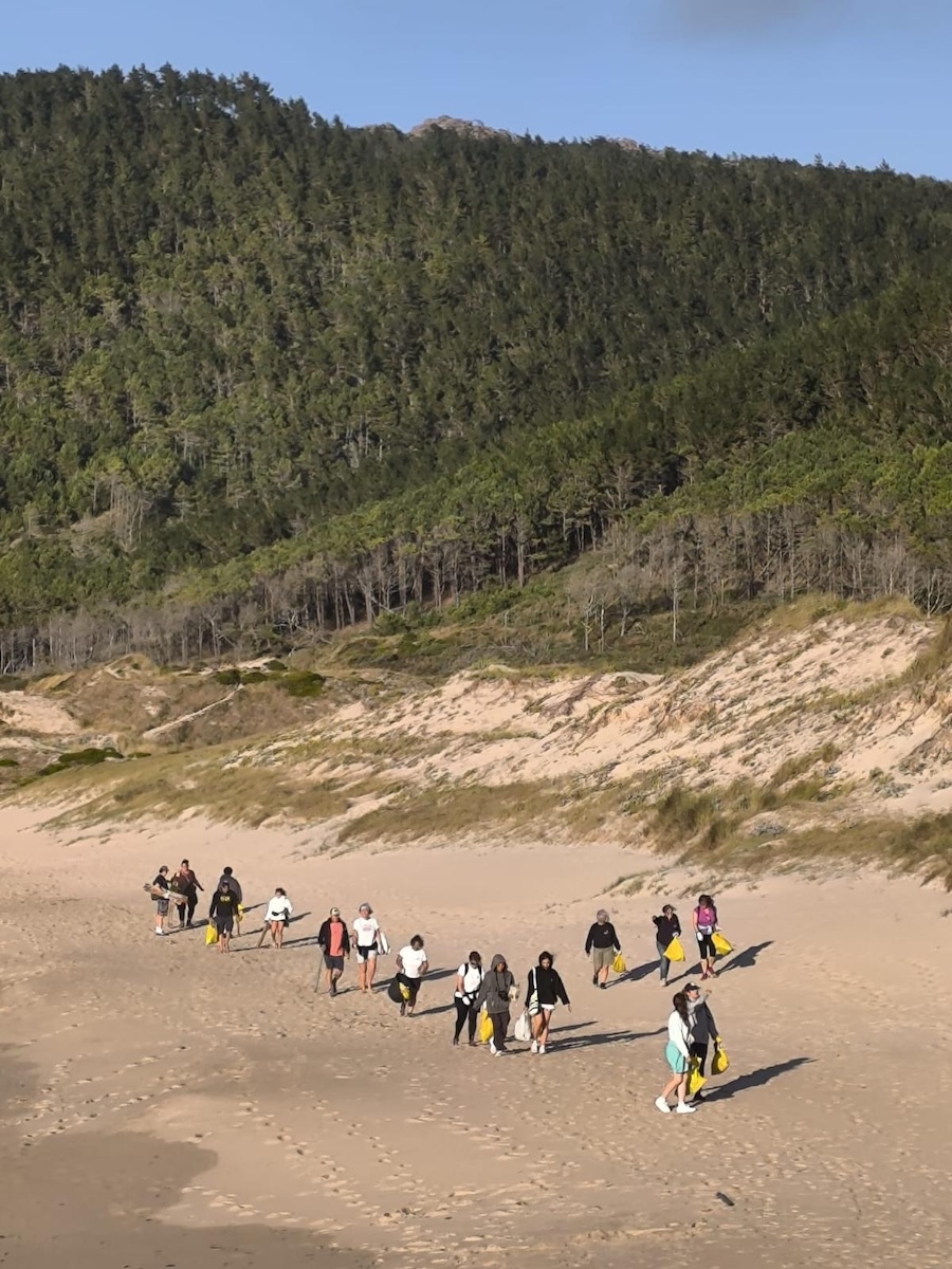 Limpeza colaborativa praia do Trece 3