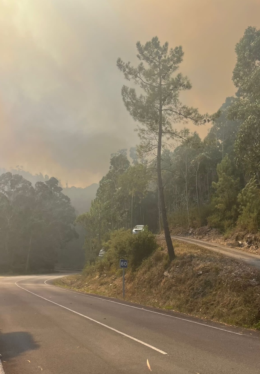 Incendio do Couto-Balares estrada ninons