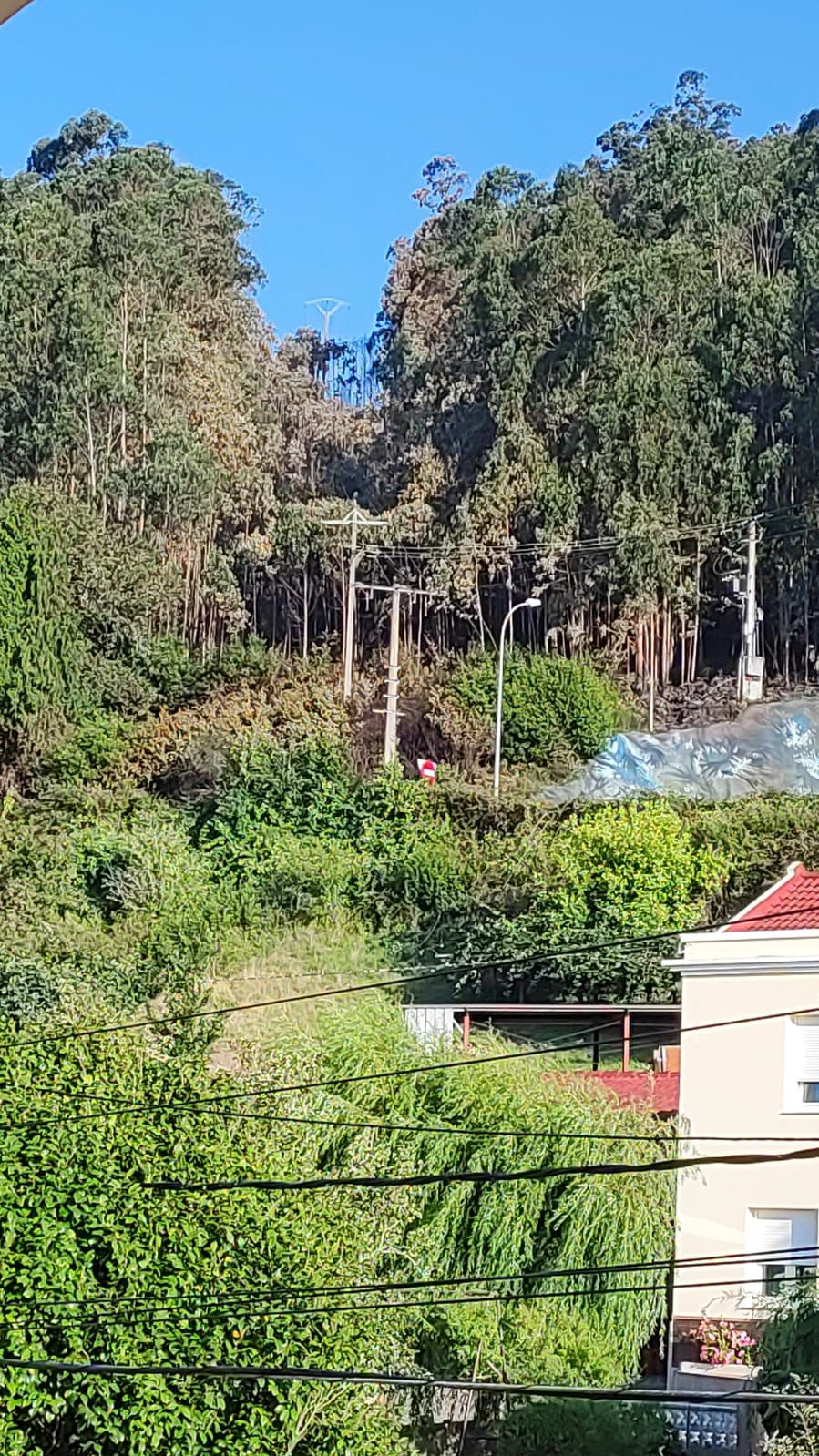 Asi estaba a franxa antes do incendio